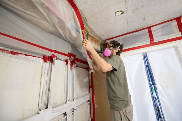 Best Post-Remediation Verification Testing  in University, FL