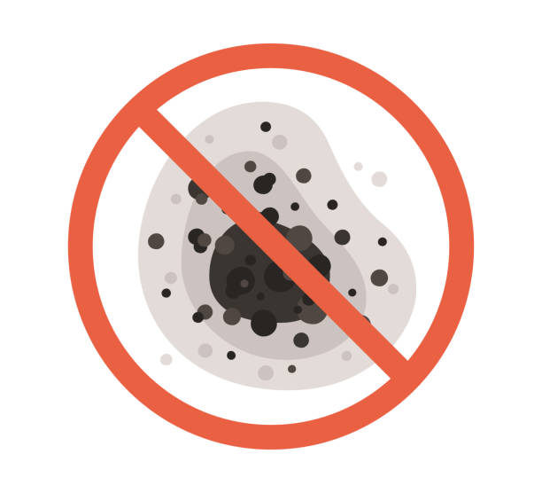 Best Mold Odor Removal Services  in University, FL