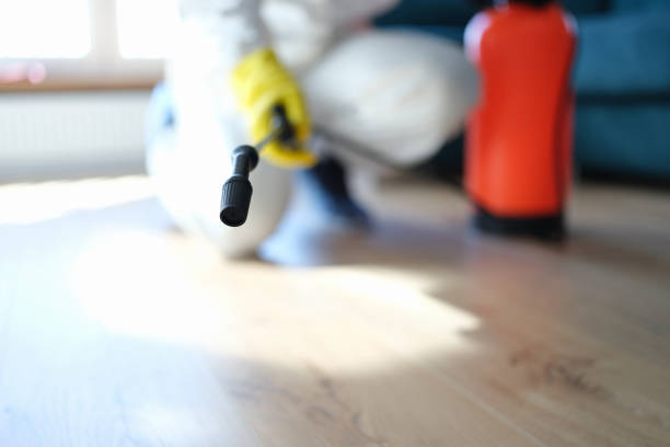 Best Dehumidification Services  in University, FL