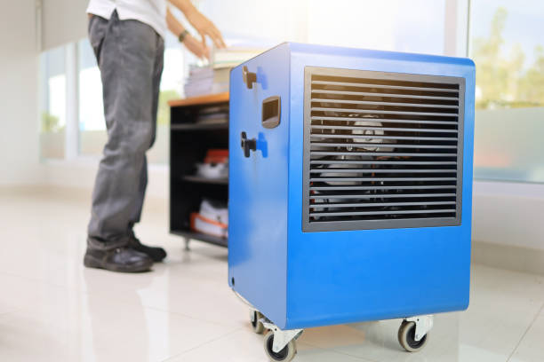 Best Residential Mold Inspection & Testing  in University, FL
